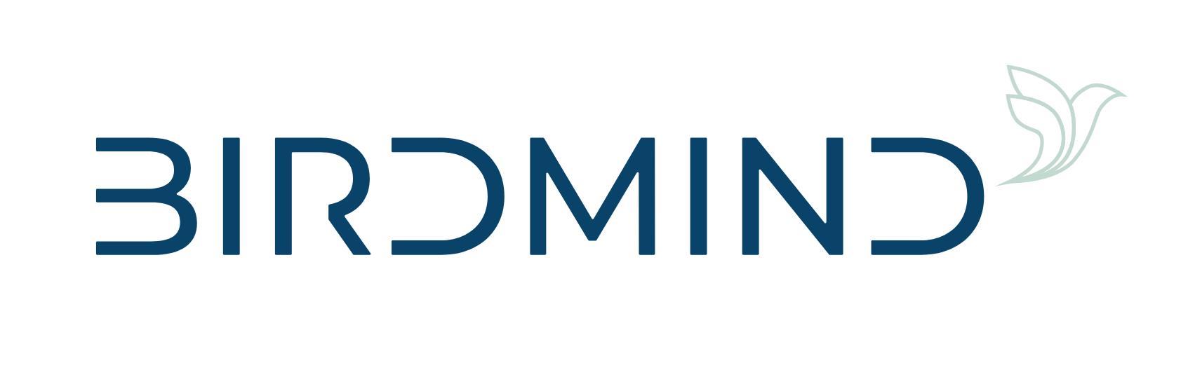 birdmind